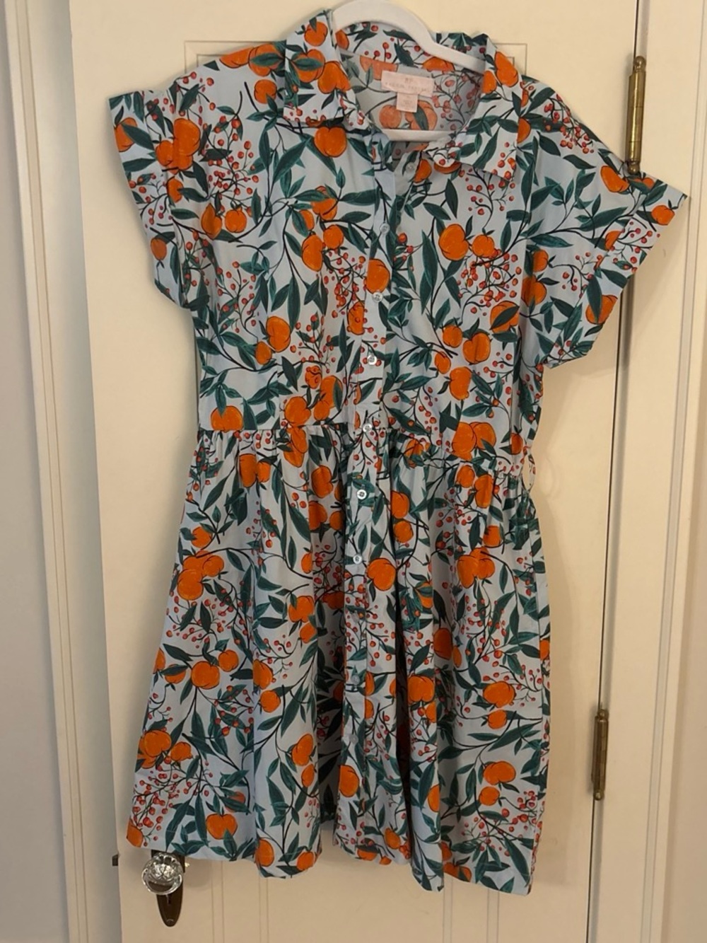 Rachel Parcell Light Blue Cotton Dress with Orange Blossom Print